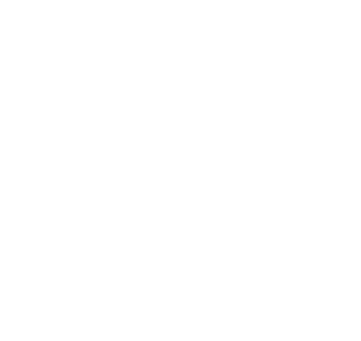 Mens Raglan, Athletic Overlay